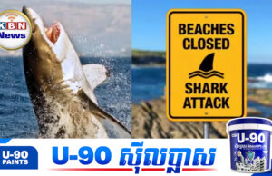 អូស្រ្តាលីប្រកាសបិទឆ្នេរសមុទ្រច្រើនតំបន់ ក្រោយត្រីឆ្លាមខាំភ្ញៀវទេសចរជាបន្តបន្ទាប់