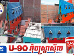 ប្លែកៗ! ផ្ទះទំហំមិនដល់១ម៉ែត្រក្លាយជាទីចាប់អារម្មណ៍ជុំវិញពិភពលោក