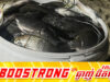 ថៃភ័យនឹងត្រីទីឡាបយ៉ាខ្មៅកើនឡើងខ្លាំងនៅសមុទ្រប៉ាតាយ៉ា បង្កការប៉ះពាល់ប្រព័ន្ធអេកូឡូស៊ីធ្ងន់ធ្ងរ