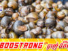 ក្រសួងសុខាភិបាលថៃព្រមានពីផលប៉ះពាល់សុខភាពធ្ងន់ធ្ងរដោយសារការបរិភោគខ្ចៅ ខ្យង និងលៀសក្នុងទន្លេ