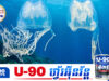 ថ្លាស្ទើរតែមើលមិនឃើញ តែពិសសាហា.វដល់ជីវិត! ចាហួយសមុទ្រប្រភេទថ្មីនៅឆ្នេរសិង្ហបុរី