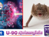 «វីរុសកូរ៉ូណា» ថ្មីមួយប្រភេទត្រូវបានរកឃើញនៅក្នុងប្រទេសថៃ