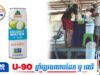 ថៃរកឃើញរោងចក្រផលិតទឹកដូងក្លែងក្លាយ ដោយយកទឹកអណ្តូងលាយផ្សុំជាមួយសារធាតុគីមី