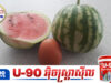 ផ្លែឪឡឹកមានទំហំតូចបំផុត តូចប៉ុនស៊ុតមាន់ តែវាមិនប្តូររសជាតិឡើយ កំពុងផ្ទុះការចាប់អារម្មណ៍ខ្លាំងបំផុត!