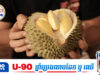 ២ប្រទេសក្នុងតំបន់អាស៊ានឡើងកម្តៅដាក់គ្នា ជុំវិញផ្លែទុរេន