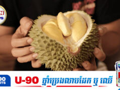 ២ប្រទេសក្នុងតំបន់អាស៊ានឡើងកម្តៅដាក់គ្នា ជុំវិញផ្លែទុរេន