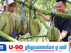 ថោ.កជាងថៃ៤ដង! ទុរេនរបស់វៀតណាមធ្លាក់ចុះតម្លៃសល់ត្រឹមជាង ៣០០០រៀល/គីឡូ