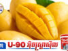វិធីកែច្នៃស្វាយទុំអោយមានប្រយោជន៍ច្រើនមិននឹកស្មានដល់!