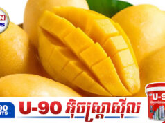 វិធីកែច្នៃស្វាយទុំអោយមានប្រយោជន៍ច្រើនមិននឹកស្មានដល់!