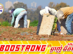 សេដ្ឋកិច្ចថៃរងផលប៉ះពាល់យ៉ាងធ្ងន់ធ្ងរដោយសារការចាកចេញរបស់ពលករកម្ពុជា