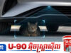 BYD បំពាក់បច្ចេកវិទ្យាថ្មីនៅក្រោមឡាន ការពារហានិភ័យ!