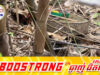 ប្រើល្បិចចាស់ទៀតហើយ! កងទ័ពថៃចោទប្រកាន់កម្ពុជាបង្កប់មីនថ្មីនៅតំបន់មុំបី បន្ទាប់ពីកម្ពុជាចាប់បង្ខំថៃឱ្យដោះស្រាយវិវាទដែនសមុទ្រ