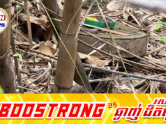 ប្រើល្បិចចាស់ទៀតហើយ! កងទ័ពថៃចោទប្រកាន់កម្ពុជាបង្កប់មីនថ្មីនៅតំបន់មុំបី បន្ទាប់ពីកម្ពុជាចាប់បង្ខំថៃឱ្យដោះស្រាយវិវាទដែនសមុទ្រ
