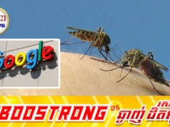 Google ចង់លែងសត្វមូស៣២លានក្បាលនៅក្នុងរដ្ឋពីររបស់សហរដ្ឋអាមេរិក