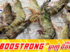 ម៉ាឡេស៊ីប្រកាសផ្អាកនាំចូលបង្គាពីថៃភ្លាមៗ ដើម្បីឆ្លើយតបនឹងវិធានការរឹតបន្តឹងលើត្រីស្ពង់