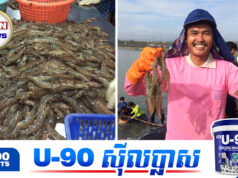 កសិករថៃខាតបង់ធ្ងន់ធ្ងរ និងប្រឈមក្ស័យធន ក្រោយម៉ាឡេស៊ីបិទការនាំចូល