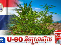 កូរ៉េខាងត្បូងព្រមានពលរដ្ឋខ្លួនមិនឱ្យទិញ ប្រើប្រាស់ និងនាំចូលកញ្ឆាពីខេត្តឈៀងម៉ៃ