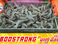 ម៉ាឡេស៊ីពន្យារពេលចរចាគ្មានកំណត់ ក្រោយថៃគំរា.មប្តឹងទៅ WTO រឿងបម្រាមនាំចូលបង្គា
