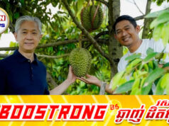ទុរេនខ្មែរកំពុងឡើងកូដខ្លាំងនៅលើទីផ្សារចិន ចំពេលថៃនិងវៀតណាមរងការរឹតបន្តឹង