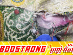 សមត្ថកិច្ចអូស្ត្រាលីឃាត់ខ្លួននារីអាកាសចរណ៍ថៃ (អូតែសថៃ) ពីបទរត់ពន្ធហេរ៉ូអ៊ីនកន្លះលានដុល្លារ បានក្លាយជាអ្នកទោ.សឆ្លងដែនល្បីពេញពិភពលោក!