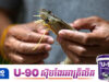 ម៉ាឡេស៊ីនិយាយចំៗថាលែងត្រូវការបង្គាថៃទៀតហើយ ព្រោះមានការផ្គត់ផ្គង់នៅក្នុងស្រុកគ្រប់គ្រាន់