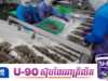 វិបត្តិបង្គាថៃ-ម៉ាឡេស៊ី៖ កសិករដាក់ឱសានវាទ ៧ថ្ងៃ ឱ្យរដ្ឋាភិបាលពន្លឿនការចរចា ក្រោយតម្លៃធ្លាក់ចុះ ២០%