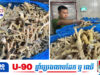 វៀតណាមបង្ក្រាបជើងមាន់ស្អុ.យដុះផ្សិតជាង ១ម៉ឺនតោន ដែលលួចបន្លំលក់ក្នុងទីផ្សារតាំងពី ២០២៣