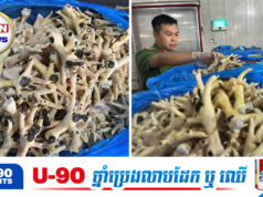 វៀតណាមបង្ក្រាបជើងមាន់ស្អុ.យដុះផ្សិតជាង ១ម៉ឺនតោន ដែលលួចបន្លំលក់ក្នុងទីផ្សារតាំងពី ២០២៣