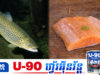មកដឹងពីតម្លៃពិតរបស់ត្រីត្រោតនៅវៀតណាម ខណៈទីផ្សារកម្ពុជាលក់តម្លៃស្មើត្រីសាលម៉ុន