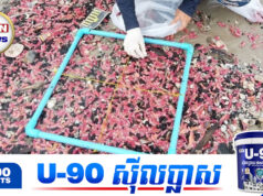 ថៃ “ឈ្លើងសមុទ្រពណ៌ផ្កាឈូករាប់ម៉ឺនក្បាលបង្ហាញខ្លួននៅខេត្តរ៉ាក់យ៉ង បង្កការភ័យខ្លា.ចពីគ្រោះធម្មជាតិ”