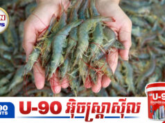 រដ្ឋាភិបាលថៃរត់ឆ្លេរឆ្លារទៅសុំម៉ាឡេស៊ីចរចា ខណៈរងសម្ពាធជេ.រប្រទេ.ចយ៉ាងខ្លាំងក្លាពីប្រជាកសិករថៃ