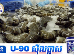 ថៃព្រមា.នប្ដឹងម៉ាឡេស៊ីទៅកាន់តុលាការពាណិជ្ជកម្ម ព្រោះខឹ.ងដែលគេមិនព្រមទិញបង្គារបស់ខ្លួន
