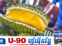 ថៃកំពុងស្វះស្វែងរកផ្លូវបញ្ចេញទុរេនជិត ៣០ម៉ឺនតោន ដែលចាល់ស្តុកចេញពីចម្ការ
