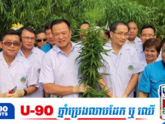 អនុទីន ព្រ.មានបិទឧស្សាហកម្ម «កញ្ឆា» បន្ទាប់ពីថៃធ្លាក់ក្នុងភាពអាណាធិបតេយ្យនៃរឿងអាស្រូ.វគ្រឿងញៀ.ន