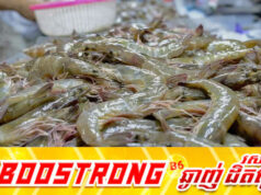 កណ្ដាលមុខចំៗ ម៉ាឡេស៊ីតបថា «គ្មានភ្លើងខៀវ» ឲ្យបង្គារថៃចូលក្នុងប្រទេសខ្លួននៅឡើយទេ