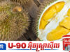 ទុរេនខ្មែរកំពុងឡើងកូដខ្លាំងនៅទីផ្សារចិន ខណៈពលរដ្ឋចិនកោតសរសើទាំងរសជាតិ និងគុណភាព