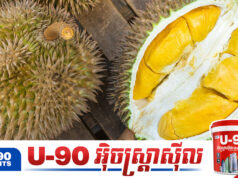 ទុរេនខ្មែរកំពុងឡើងកូដខ្លាំងនៅទីផ្សារចិន ខណៈពលរដ្ឋចិនកោតសរសើទាំងរសជាតិ និងគុណភាព