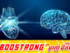 មិនគួរឲ្យជឿ! តាមពិតមនុស្សយើងមានខួរក្បាលមួយទៀត ដែលលាក់ទុកនៅក្នុងបេះដូង