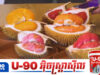 ទុរេនសាច់ក្រហម កំពុងក្លាយជាកសិទេសចរណ៍ថ្មីដ៏សំខាន់របស់អាស៊ាន