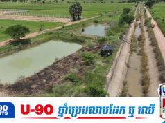 មនុស្សជិត ៥០ លាននាក់ នឹងធ្លាក់ក្នុងវិបត្តិកង្វះអាហារធ្ងន់ធ្ងរដោយសារបាតុភូត El Niño ខណៈកម្ពុជាប្រឈមនឹងភាពស្ងួតហួតហែង