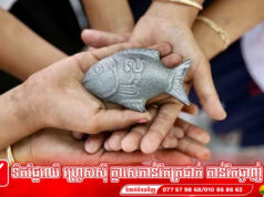 ត្រីដែកសំណាង៖ ដុំដែកតូចមួយដែលជួយសង្គ្រោះប្រជាជនកម្ពុជារាប់សែននាក់ពីជំងឺស្លេកស្លាំង