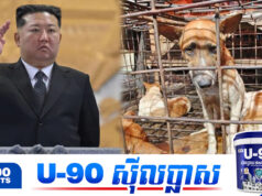 កូរ៉េខាងជើង ជំរុញពលរដ្ឋឲ្យបរិភោគសាច់ឆ្កែដើម្បីការពារខ្លួនពីរលកកម្ដៅ